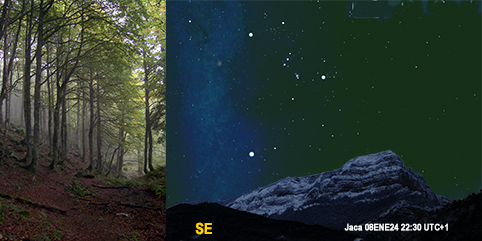 Las estrellas en el firmamento son como los árboles en un bosque